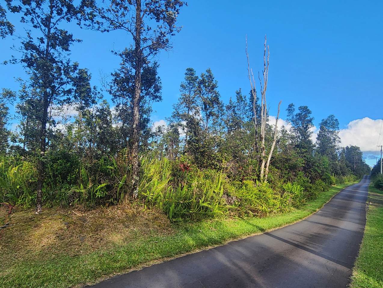 16-1799 Road 1 (Uhini Ana) - Photo 1