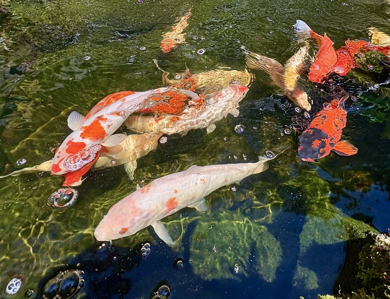 19-4218 Kawailehua Rd - Photo 1