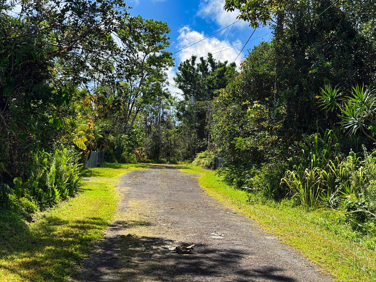 https://bt-photos.global.ssl.fastly.net/hawaii/1280_boomver_4_725431-23.jpg