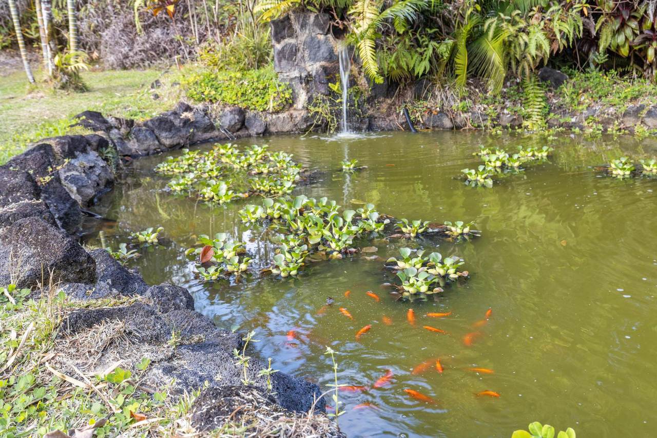 https://bt-photos.global.ssl.fastly.net/hawaii/1280_boomver_3_726873-1.jpg