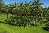 28-1829 Old Mamalahoa Hwy - Photo 15