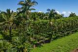 28-1829 Old Mamalahoa Hwy - Photo 16