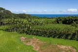 28-1829 Old Mamalahoa Hwy - Photo 30