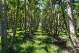 28-1829 Old Mamalahoa Hwy - Photo 4