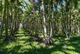 28-1829 Old Mamalahoa Hwy - Photo 5
