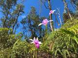  Hawaii Rd - Photo 1