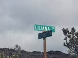  Liliana Ln - Photo 6