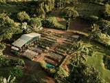 2840 Ke Alaula Street - Photo 26