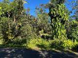 13-1100 Kahukai St - Photo 12