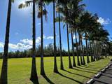 13-1100 Kahukai St - Photo 16