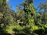 13-1100 Kahukai St - Photo 8