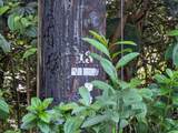 723 11TH AVE - Photo 2