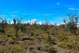  Ohia Dr - Photo 10