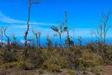  Ohia Dr - Photo 12