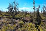  Ohia Dr - Photo 6