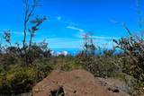  Ohia Dr - Photo 7