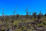  Ohia Dr - Photo 8