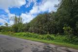  Plumeria St - Photo 3