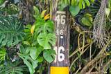  Plumeria St - Photo 5