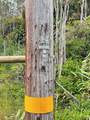 16-1562 Io Kea Rd - Photo 3