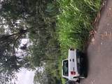  Puni Makai Loop - Photo 3