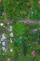 79-7288 Hawaii Belt Rd - Photo 14