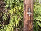  Kona Rd - Photo 3