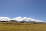 Maluhi St - Photo 9