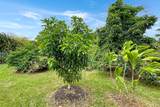 12-161 Kipuka St - Photo 17