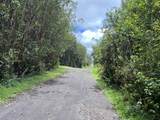  Road 4 (Io Kea) - Photo 1