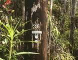  Kaleponi Dr - Photo 13