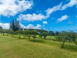  Kapuna Rd - Photo 11