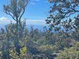  Kona Dr - Photo 2