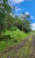  Road 9 (Koloa Maoli) - Photo 1