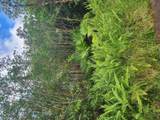  Road 9 (Koloa Maoli) - Photo 3