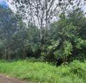  Road 9 (Koloa Maoli) - Photo 4