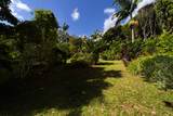 29-2199 Old Mamalahoa Highway - Photo 22