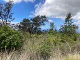  Walaka Dr - Photo 3
