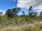  Walaka Dr - Photo 6