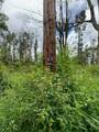  Lehua Rd - Photo 3
