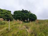 17-4794 Ike Onipaa Rd - Photo 14