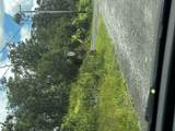  Jungle King Ave - Photo 1