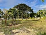 850-A Kamalu Rd - Photo 4