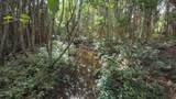  Waipouli Rd - Photo 13
