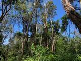 87-5001 Pahoehoe Rd - Photo 10