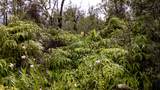  Kilinahe Rd - Photo 8