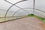87-2642 Hawaii Belt Rd - Photo 4