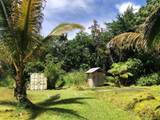 15-3097 Pahoa Kapoho Rd - Photo 1