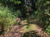 15-3097 Pahoa Kapoho Rd - Photo 10
