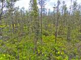  Road 7 (Opeapea) - Photo 2